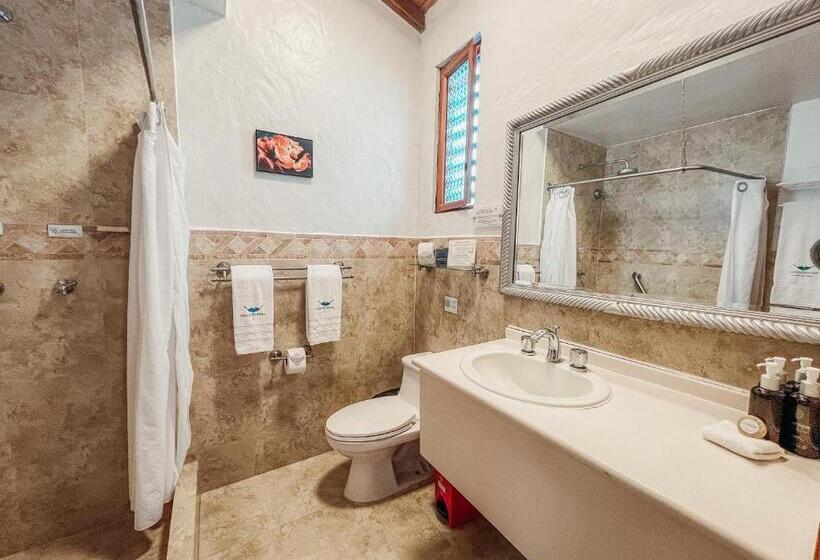 اتاق سوپریور, Isamar