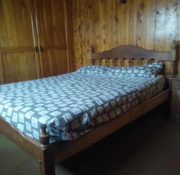 اتاق استاندارد با سرویس بهداشتی مشترک, Universal Traveller's Hostel