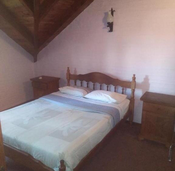 اتاق استاندارد با سرویس بهداشتی مشترک, Universal Traveller's Hostel