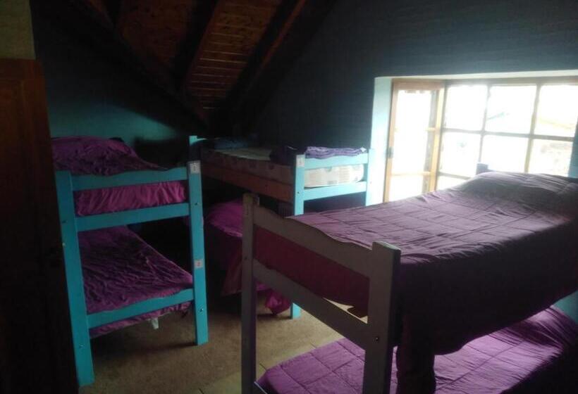 تختخواب در اتاق مشترک, Universal Traveller's Hostel