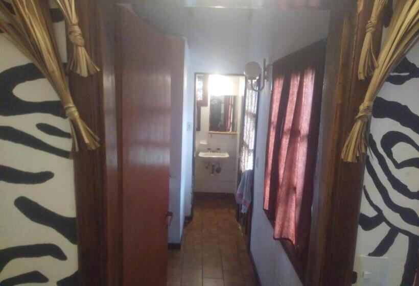 اتاق استاندارد با چشمانداز باغ, Universal Traveller's Hostel