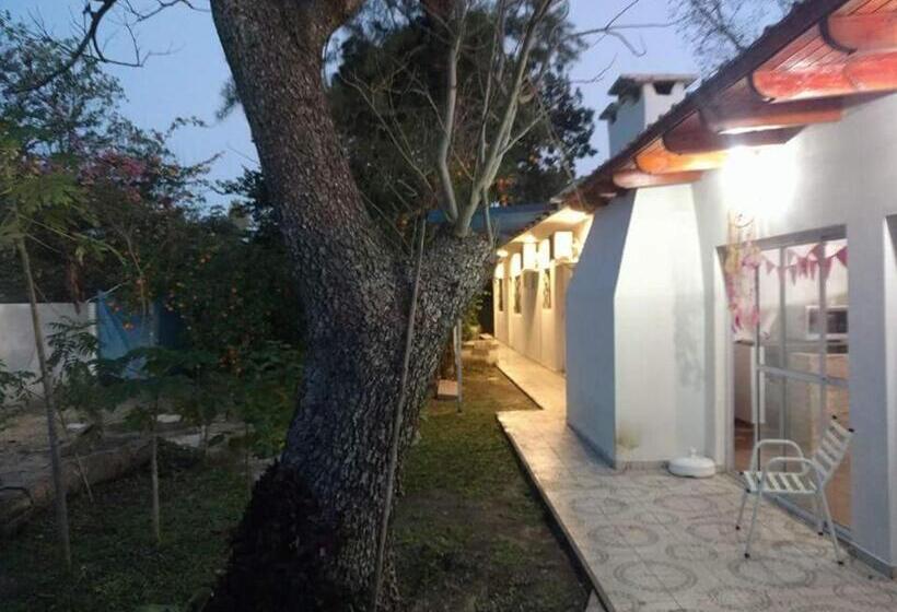 Номер Стандарт, Santo Domingo