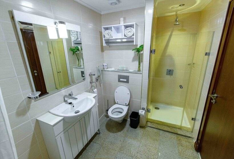 اتاق لوکس, Alphaplus Apartments