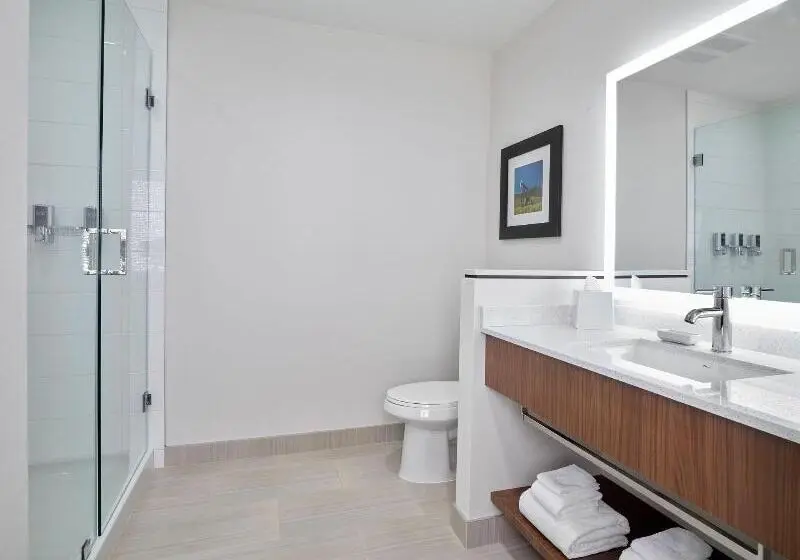 Suite Executive Lit King Size, Element Edmonton West