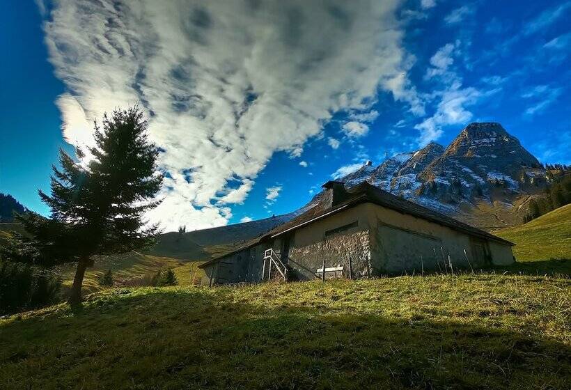 חדר משפחתי, Wego