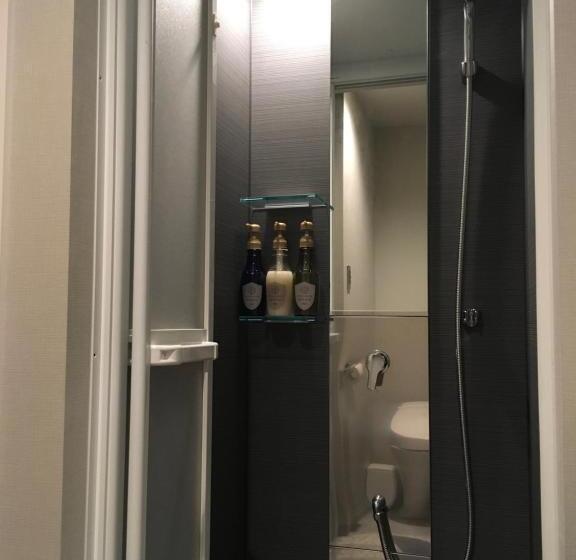 חדר אקונומי, Yumoto Station Hotel Mirahakone