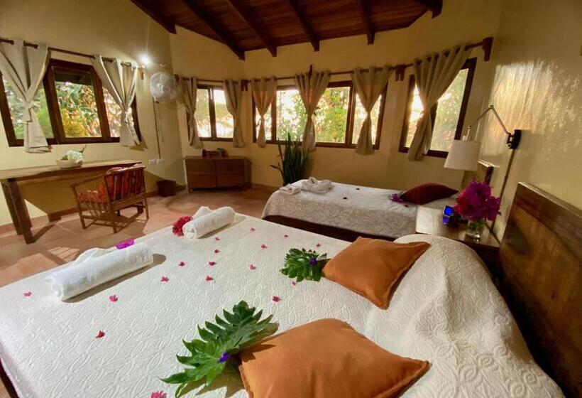 شقة غرفة واحدة, Domos Mirador Romantic Private Honeymoon Glamping