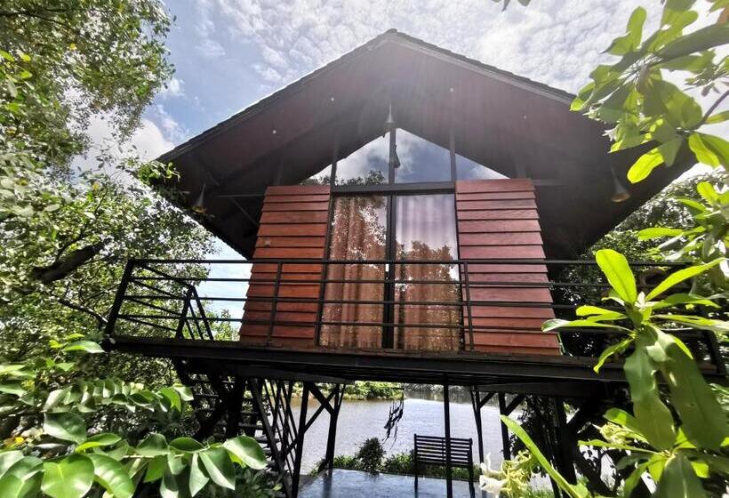 חדר סטנדרט עם מיטת קינג, Nature Cabanas & Floating Restaurant