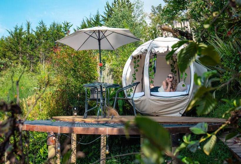 Номер Deluxe, Levit Glamping   Hotel Guatapé Peñol