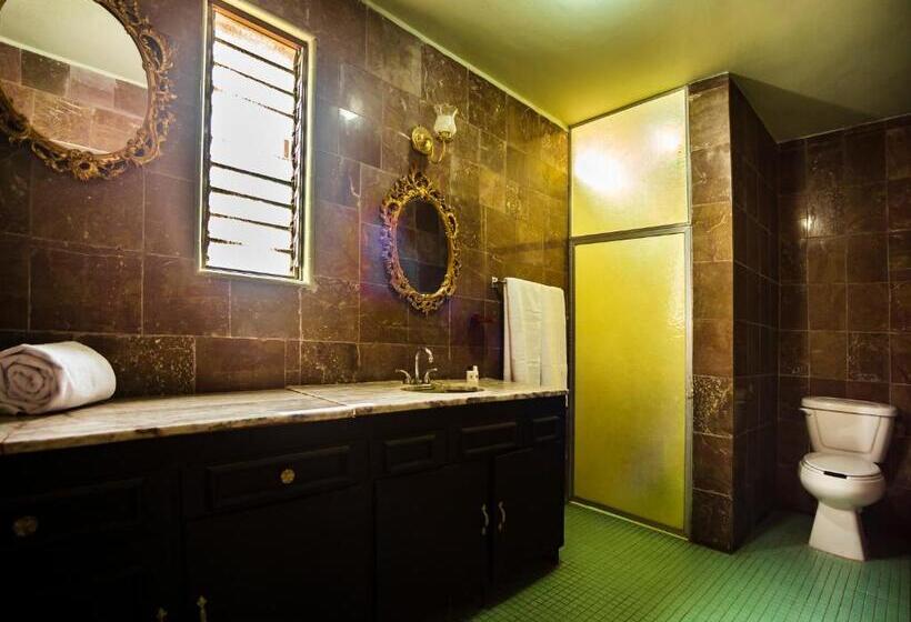 패밀리 룸, Oasis