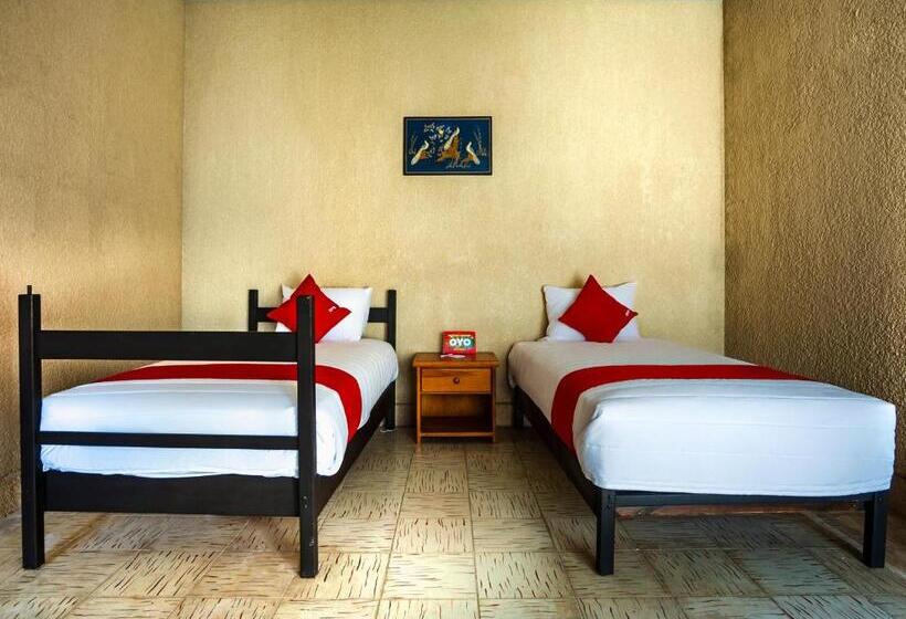 패밀리 룸, Oasis