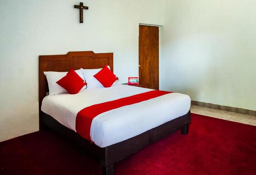 패밀리 룸, Oasis