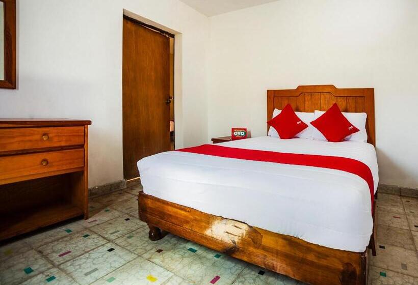 패밀리 룸, Oasis