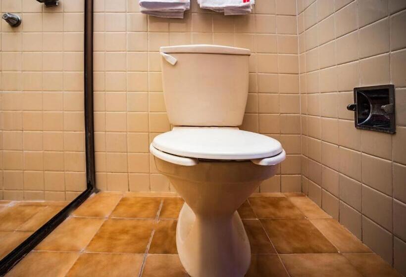 스탠다드 룸, Oasis