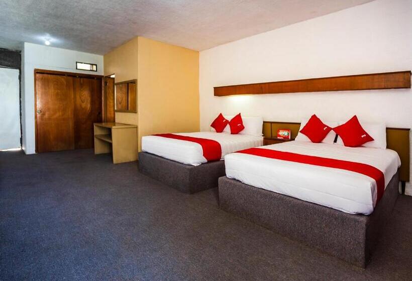 스탠다드 룸, Oasis