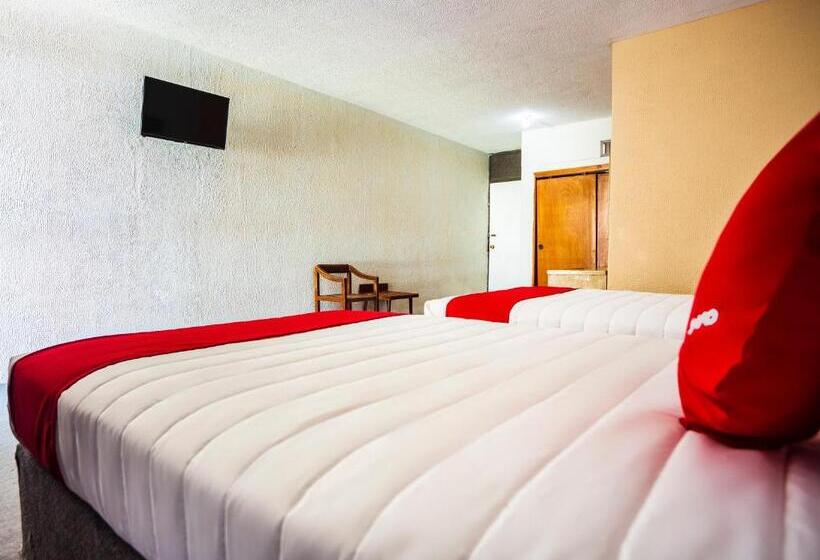 스탠다드 룸, Oasis