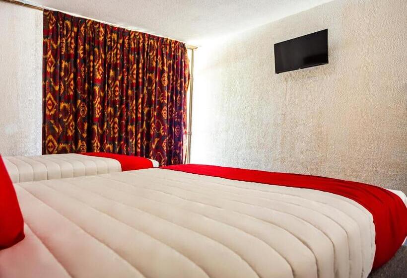 스탠다드 룸, Oasis