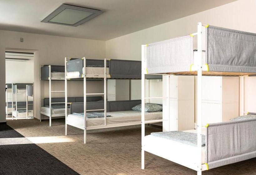 تختخواب در اتاق مشترک, Wild Elephants Hostel