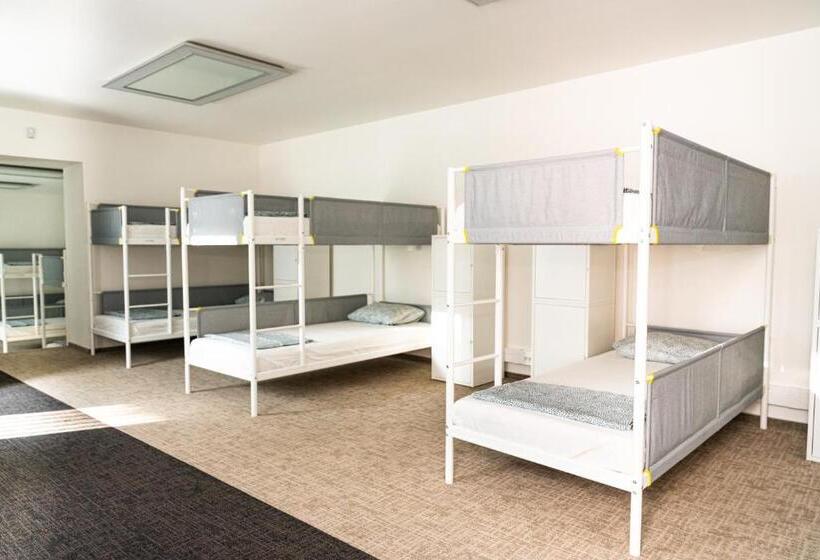 تختخواب در اتاق مشترک, Wild Elephants Hostel