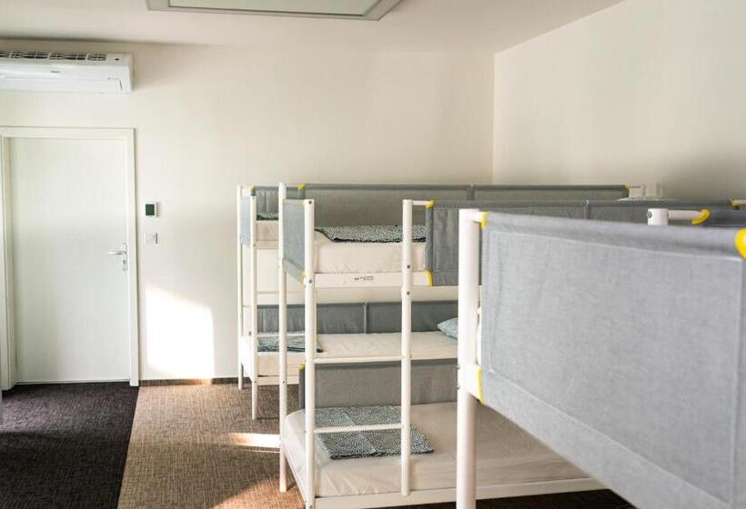 تختخواب در اتاق مشترک, Wild Elephants Hostel