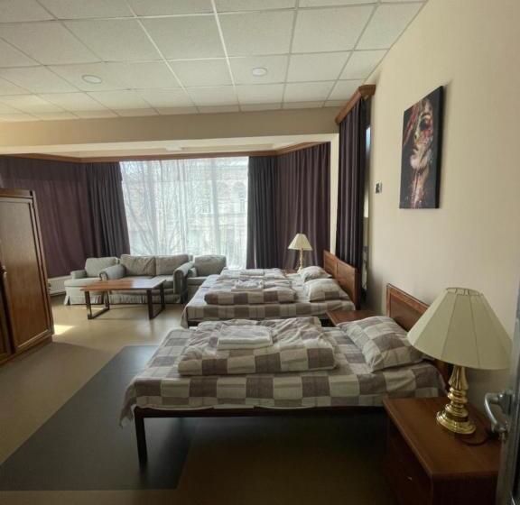 اتاق لوکس سه تخته, Downtown B&b