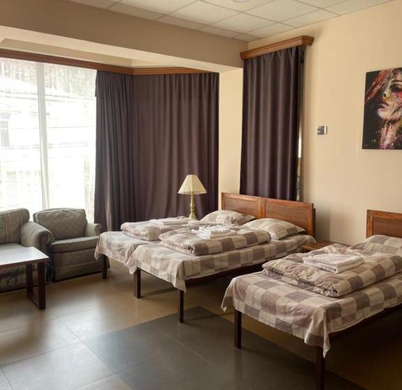 اتاق لوکس سه تخته, Downtown B&b