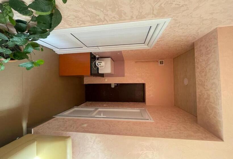 استودیوی استاندارد, Downtown B&b