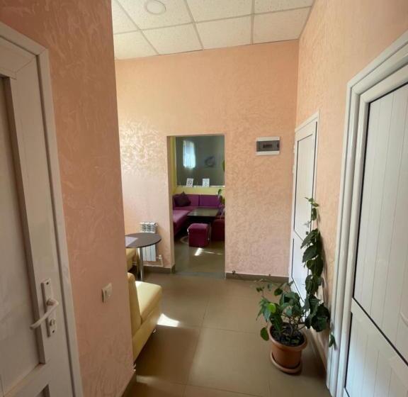استودیوی استاندارد, Downtown B&b
