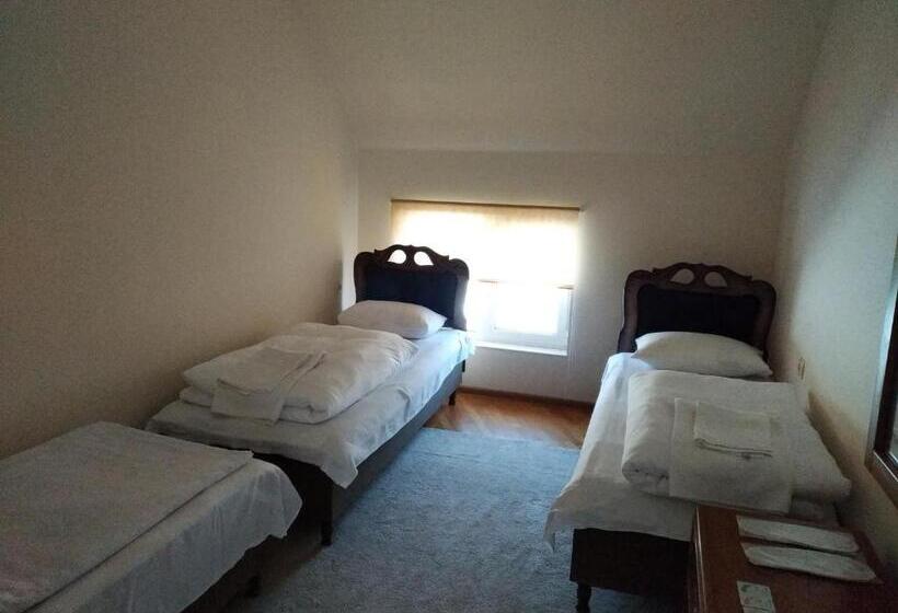 آپارتمان 1 خوابه, Downtown B&b