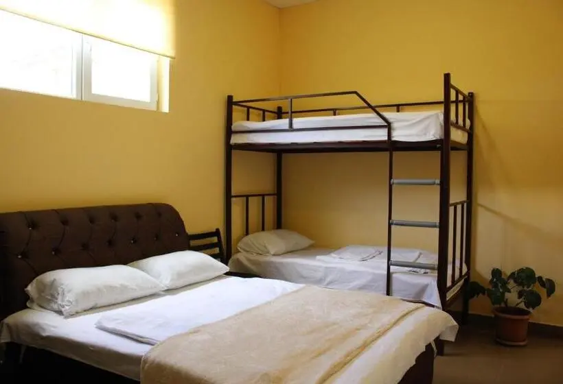 Economy Triple Room, Downtown B&b