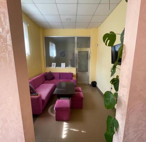 استودیوی استاندارد, Downtown B&b