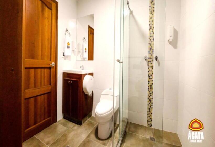 غرفة قياسية, Agatalh Pinares Alto Pereira