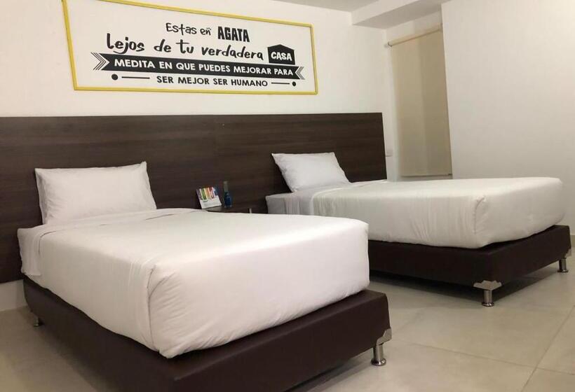 غرفة إقتصادية, Agatalh Pinares Alto Pereira