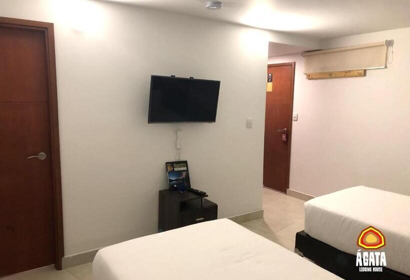 غرفة إقتصادية, Agatalh Pinares Alto Pereira