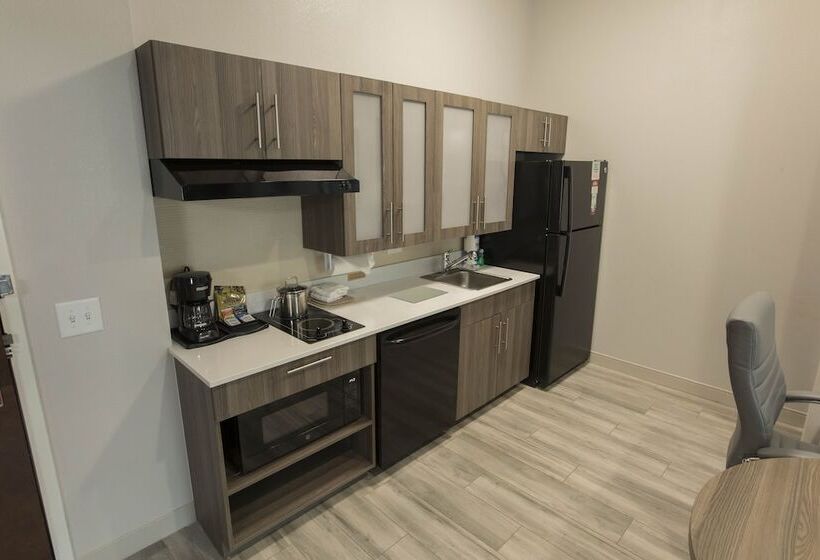 جناح لذوى الاحتياجات الخاصة, Candlewood Suites Mcdonough, An Ihg