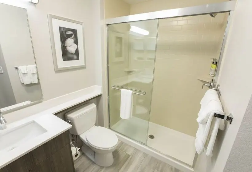 身障者適用スイートルーム, Candlewood Suites Mcdonough, An Ihg