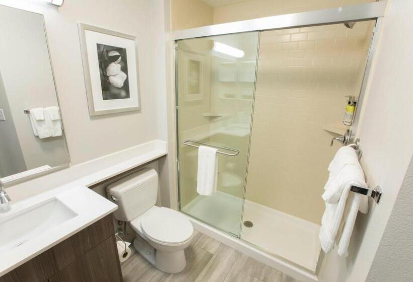 Студио Стандарт Кровать Кинг, Candlewood Suites Mcdonough, An Ihg