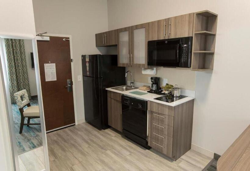 Номер Стандарт Кровать Кинг Адаптированный для Инвалидов, Candlewood Suites Mcdonough, An Ihg