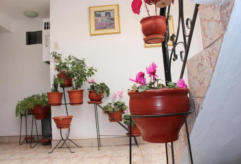 חדר משפחתי, Kennedy Guest House