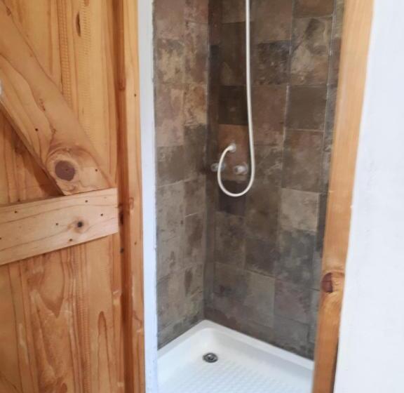 اتاق استاندارد, Puccini House