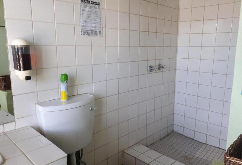 اتاق خانوادگی, Puccini House