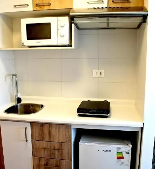 Basic-huone, Playa Hotel   Cavancha