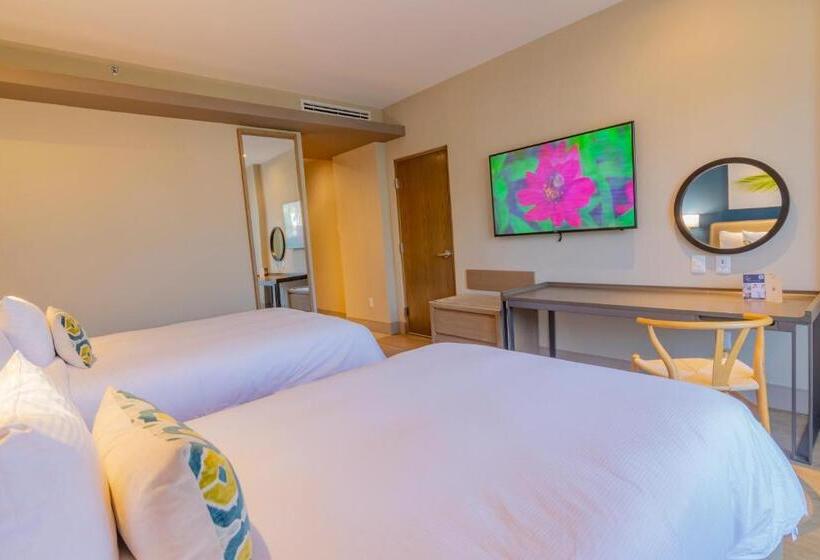 高级大房间, Torre Lucerna Hotel Ensenada