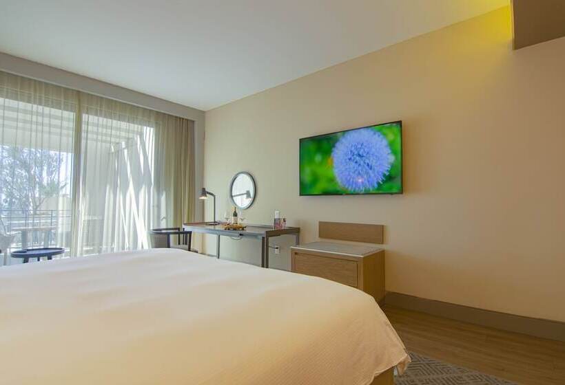 带大床的豪华间, Torre Lucerna Hotel Ensenada