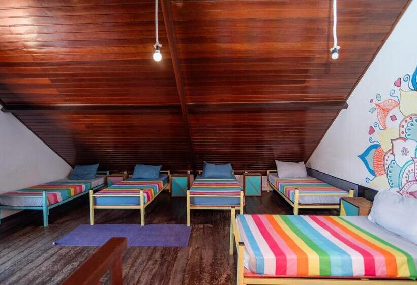 공동 객실, Hostel Lares