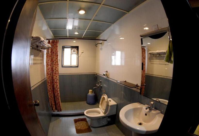 جناح, Sharada International