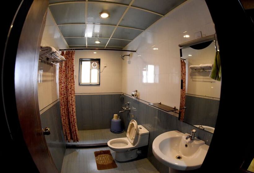 סוויטה, Sharada International