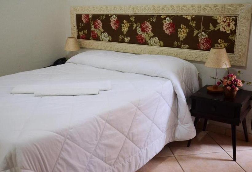 스탠다드 싱글 룸, Santa Amalia