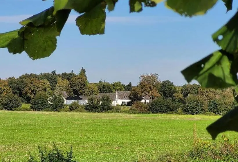 デラックスルーム, B&b De Grote Waaij