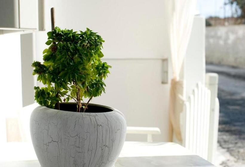 스탠다드 스튜디오, Ostria Studios